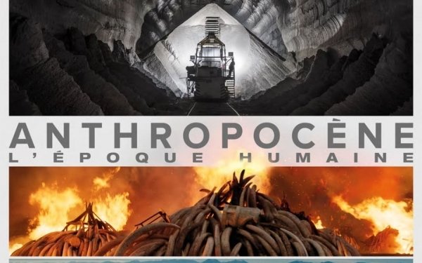 CINÉ-DÉBAT
LUN. 22 NOV / 18H Amphi A
Dans le cadre du mois du film documentaire, projection de : « Anthropocène : l'époque humaine » de Jennifer Baichwal, Edward Burtynsky, Nicholas "Nick" de Pencier (2018 - 87 min)
La projection sera suivie de l'intervention de Nathanaël Wallenhorst, spécialiste de l'anthropocène, et maître de conférences HDR à l'UCO.
Passe sanitaire et port du masque obligatoires
#ecolearchitecture
#architecture
#ecolearchinancy #moisdudoc @moisdudoc_officiel #anthropocenefilm